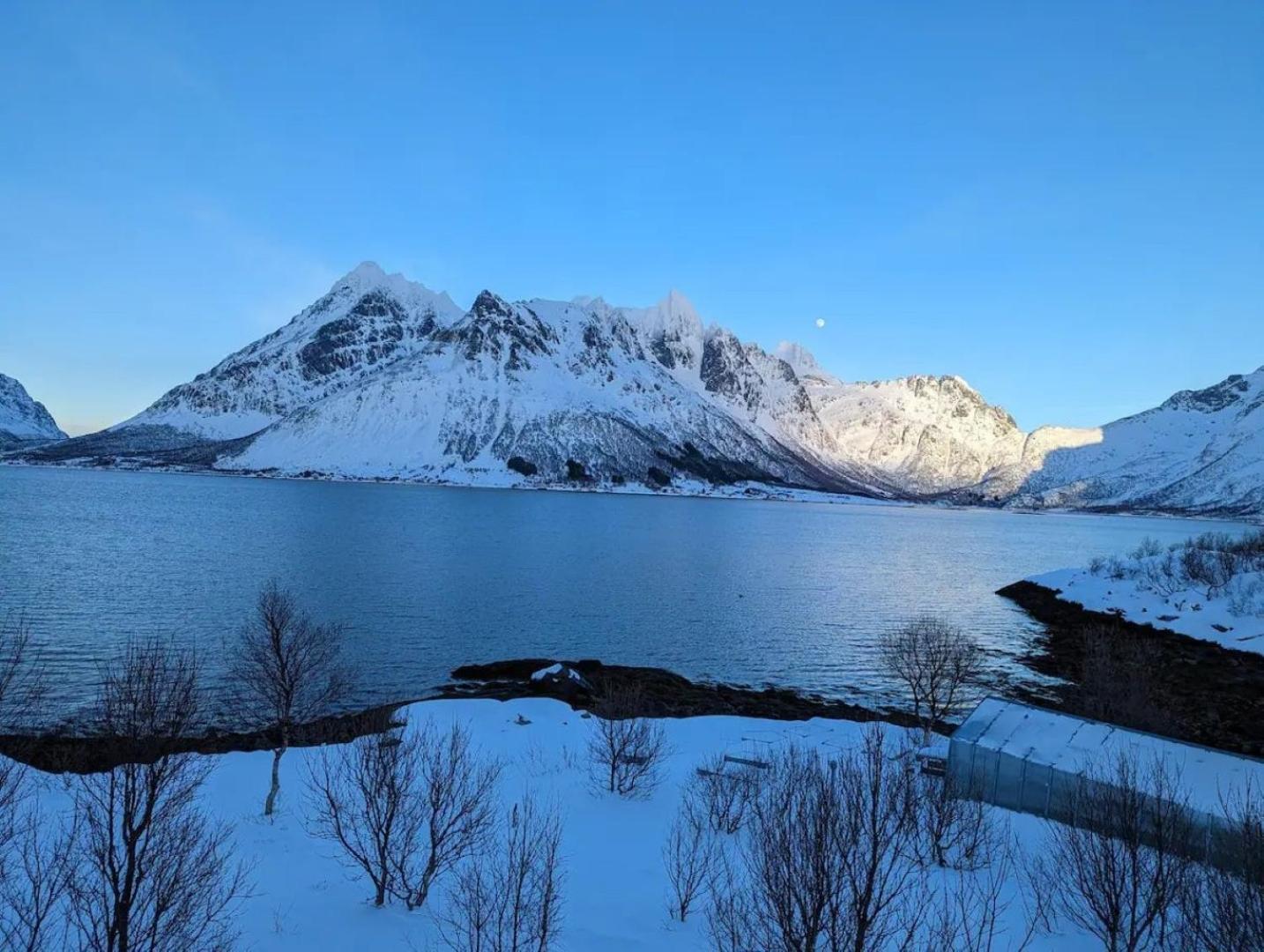 Nydelig Hytte Med Fantastisk Beliggenhet Ved Sjoen Villa Laupstad Buitenkant foto